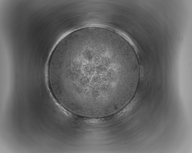 X0000113311048200909211138