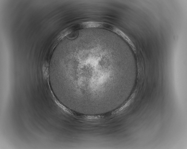 X0000113311049200909211138