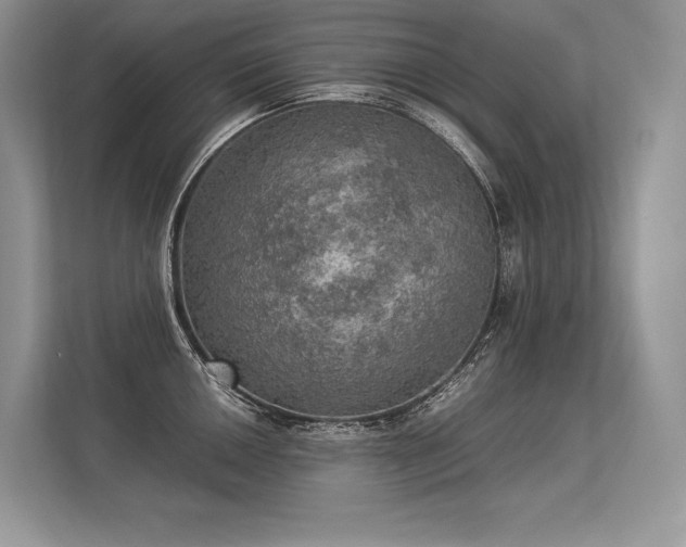 X0000113311050200909211138