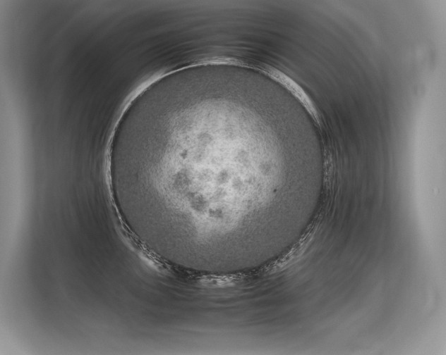 X0000113311051200909211138