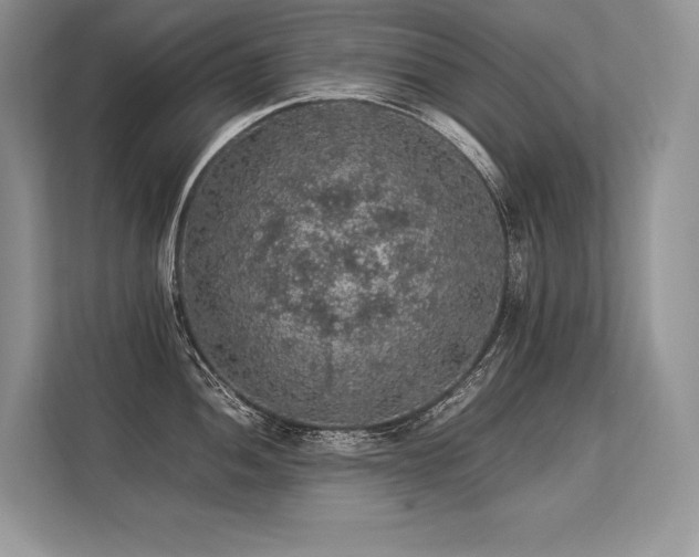 X0000113311052200909211138