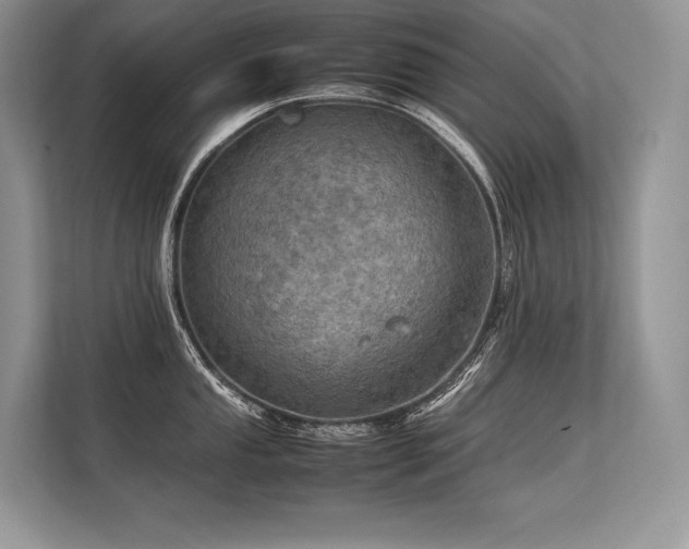 X0000113311053200909211138