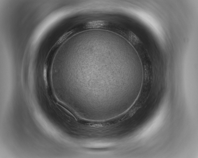 X0000113311054200909211138