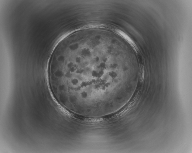 X0000113311055200909211138