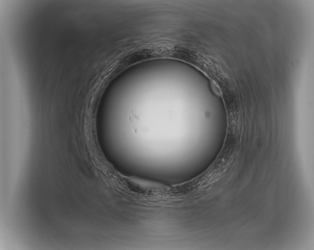 X0000113311057200909211137