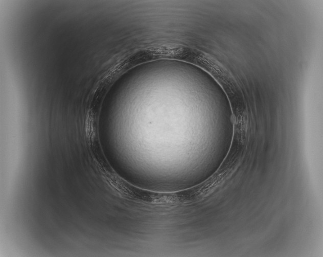 X0000113311058200909211137