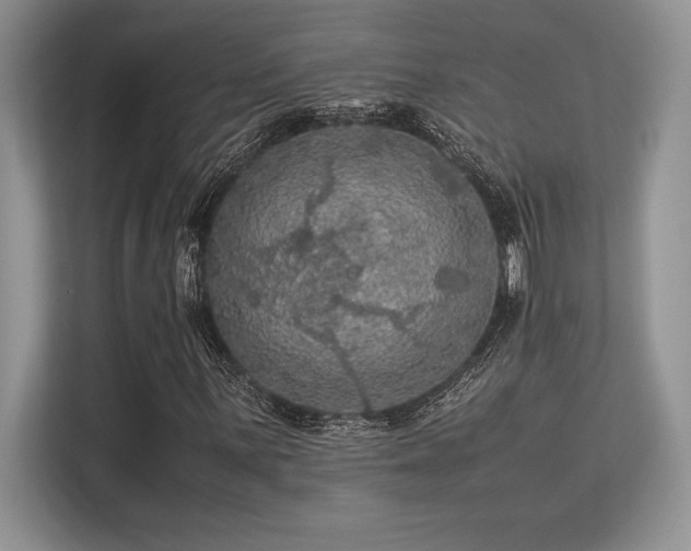 X0000113311059200909211137