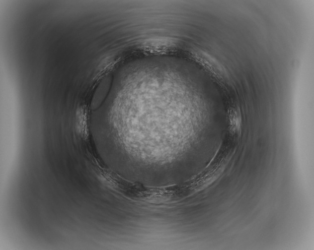 X0000113311060200909211137