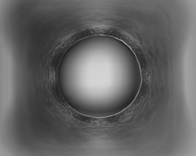 X0000113311061200909211137