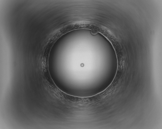 X0000113311062200909211137