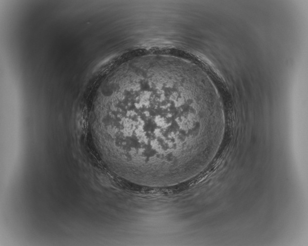 X0000113311063200909211137