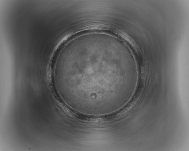 X0000113311067200909211137