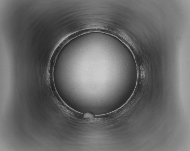 X0000113311068200909211137