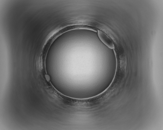 X0000113311069200909211137