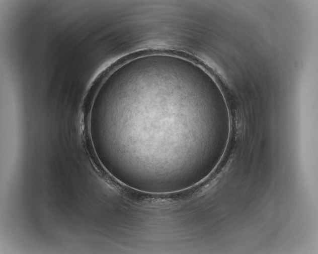 X0000113311070200909211137