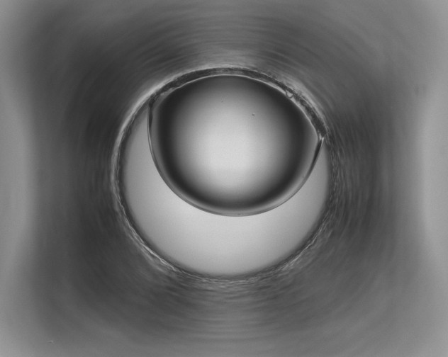 X0000113311072200909211137