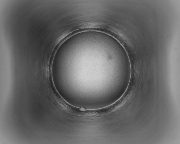 X0000113311073200909211137