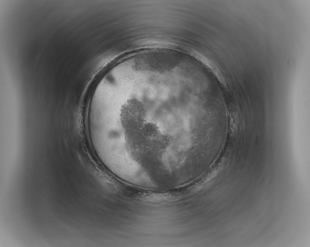 X0000113311074200909211137