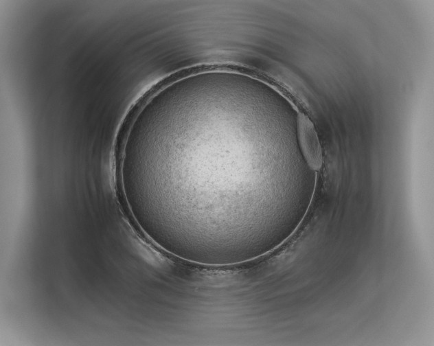 X0000113311076200909211137