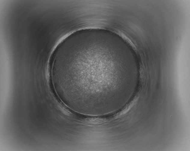 X0000113311077200909211137