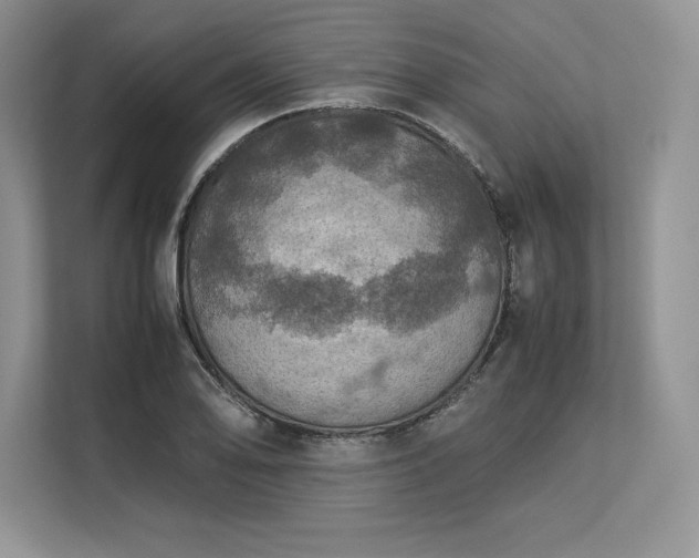 X0000113311078200909211137