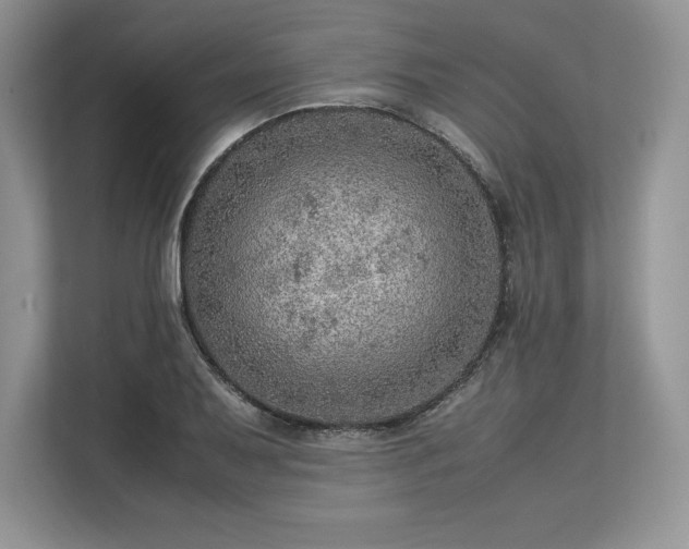 X0000113311079200909211137