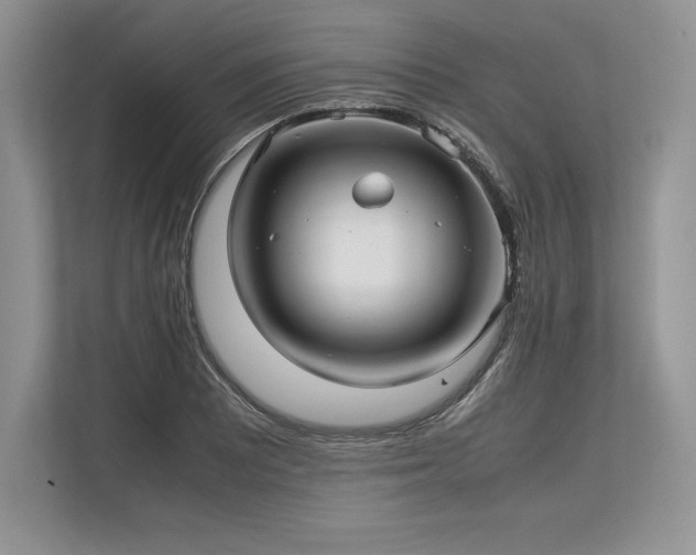 X0000113311081200909211137