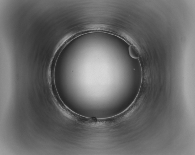 X0000113311082200909211137