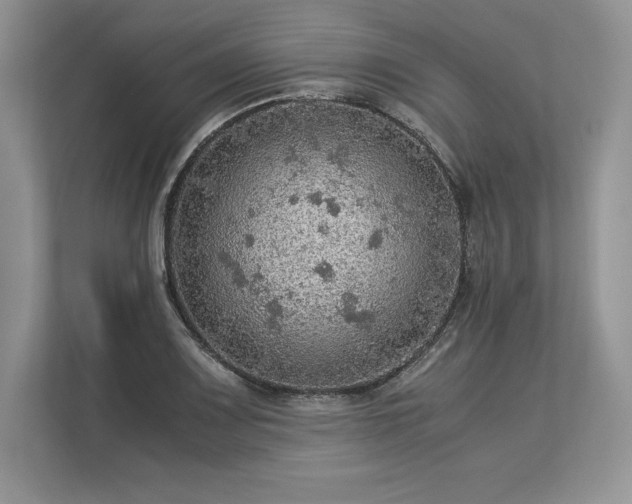 X0000113311083200909211137