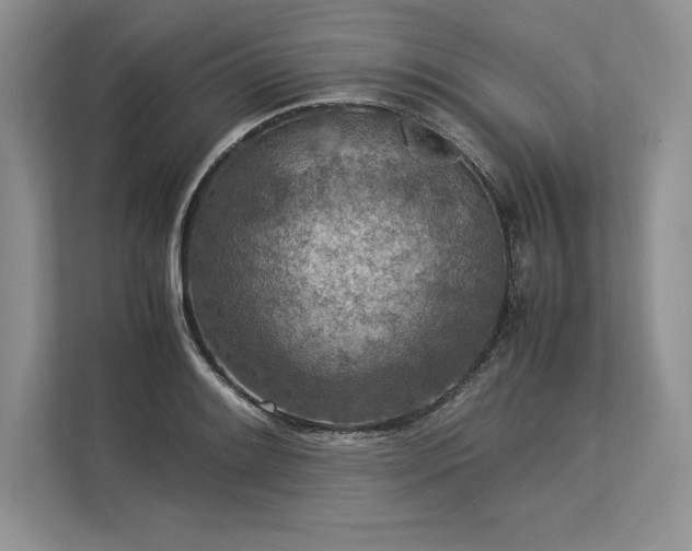 X0000113311084200909211137