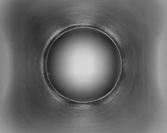 X0000113311085200909211137