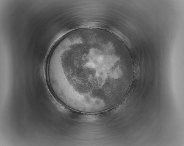 X0000113311086200909211137