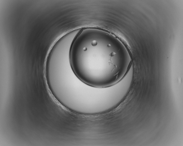 X0000113311088200909211137