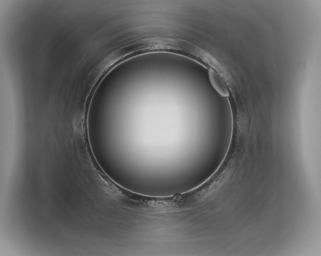 X0000113311089200909211137