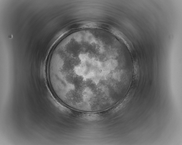 X0000113311090200909211137