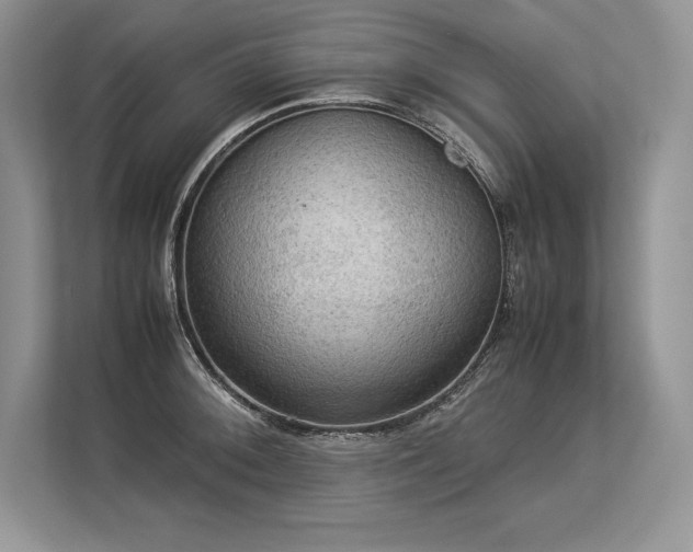 X0000113311092200909211137