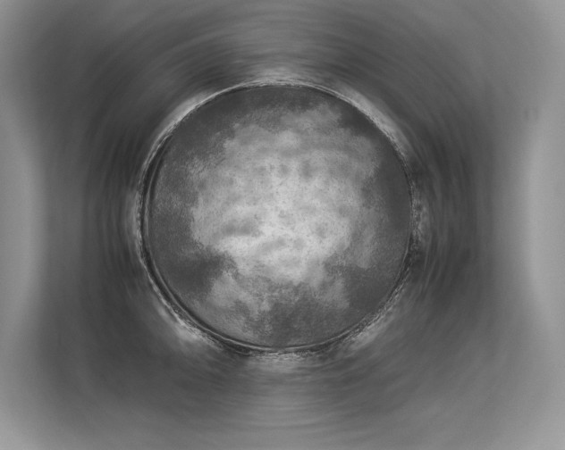 X0000113311094200909211137