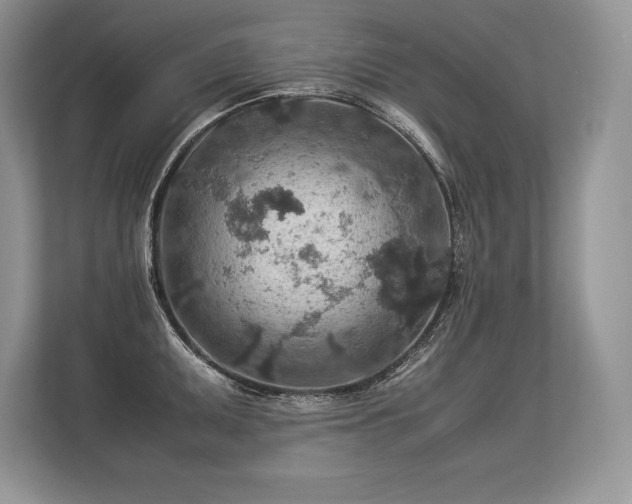 X0000113311095200909211137