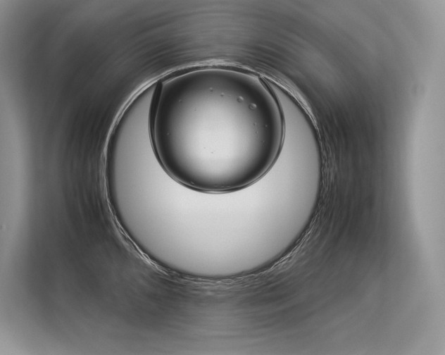 X0000113311096200909211137