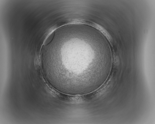 X0000113311097200909211137