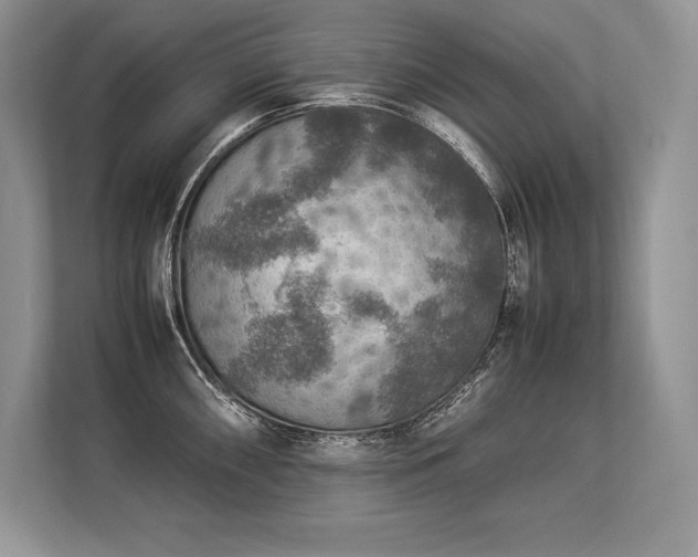 X0000113311098200909211137