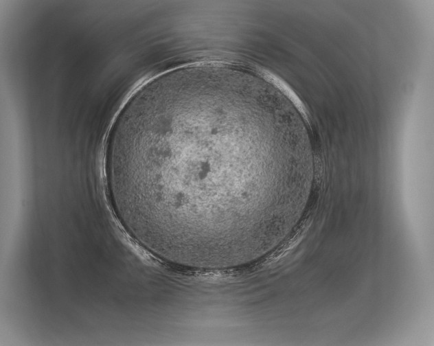 X0000113311099200909211137