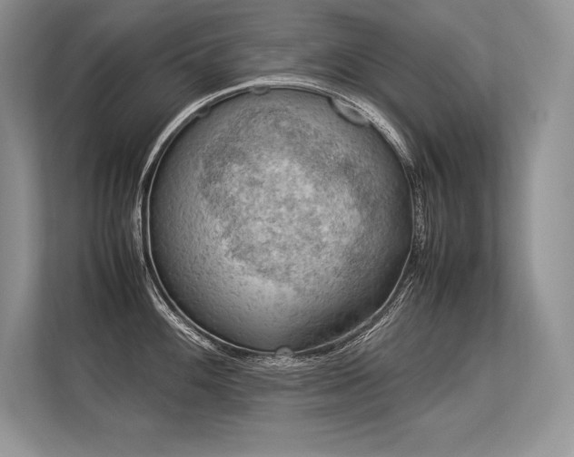 X0000113311100200909211137