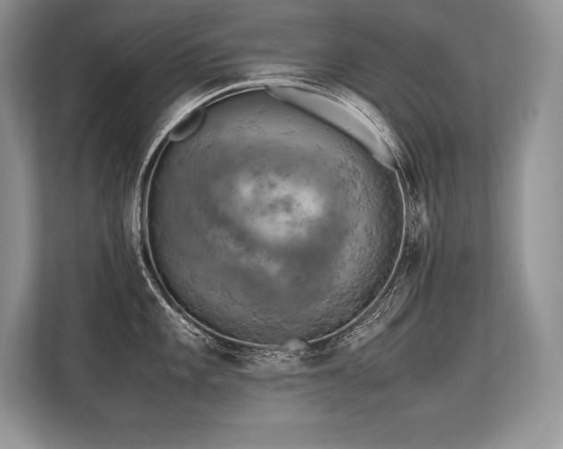 X0000113311101200909211137