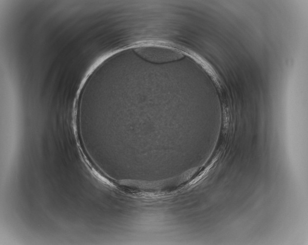 X0000113311102200909211137