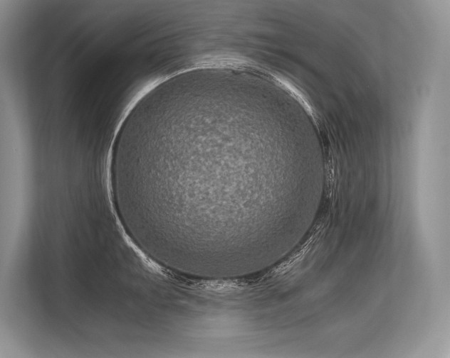 X0000113311103200909211137