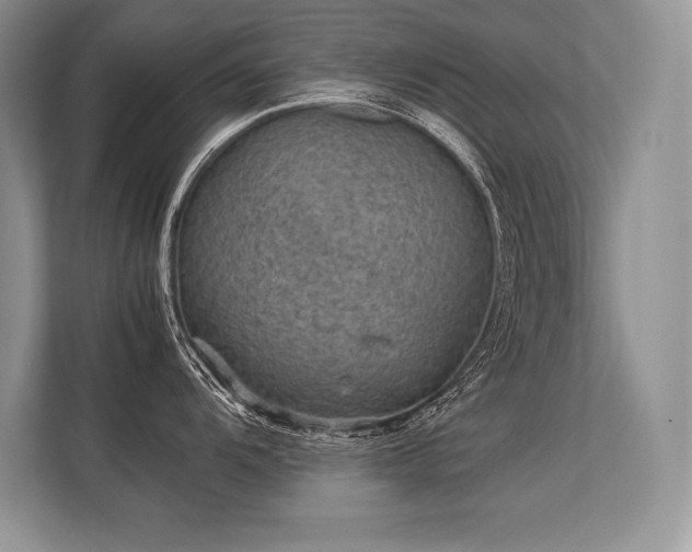 X0000113311104200909211137