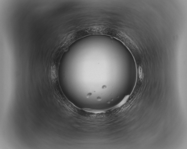 X0000113311107200909211136