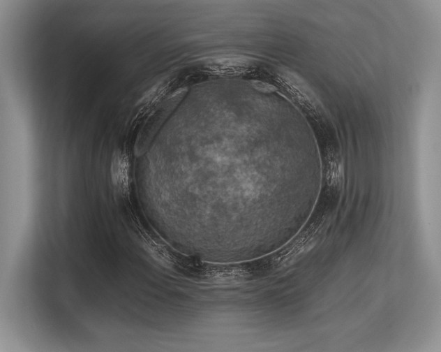 X0000113311108200909211136