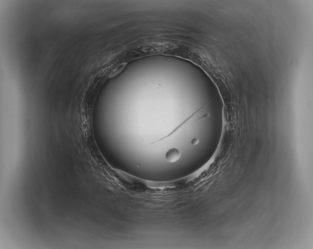 X0000113311109200909211136